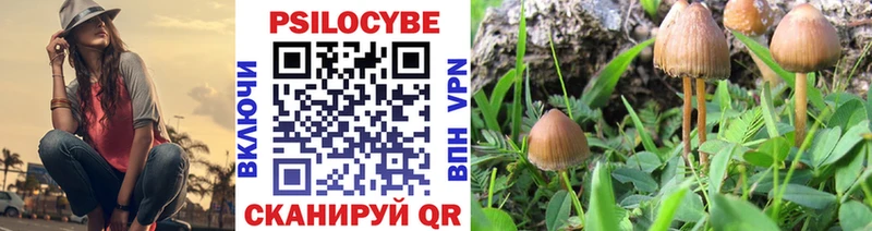 Псилоцибиновые грибы прущие грибы  Пущино 
